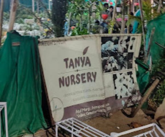 Tanya Nursery