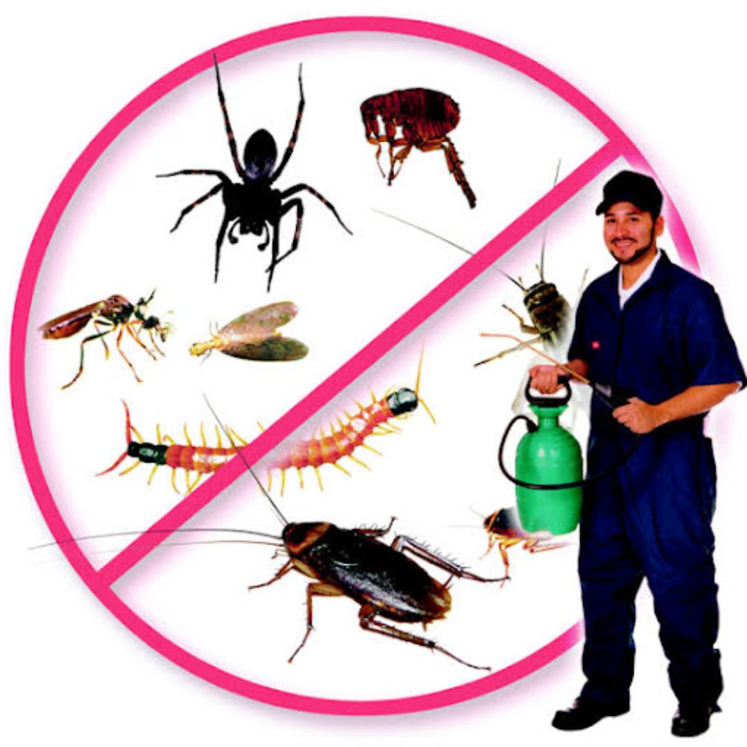 High Secure Pest Control