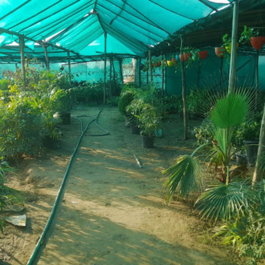 Tanya Nursery