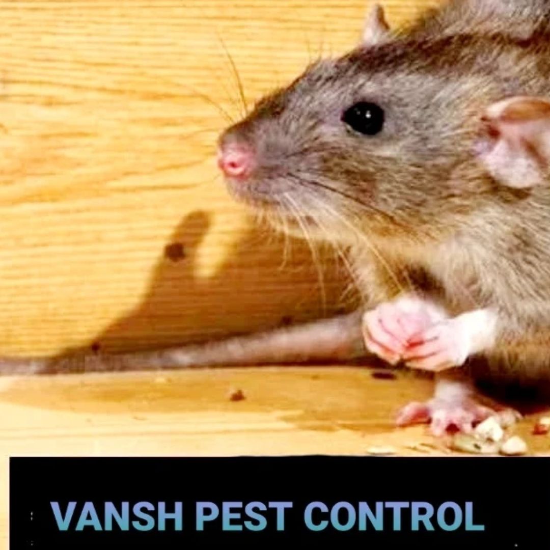 VANSH PEST CONTROL