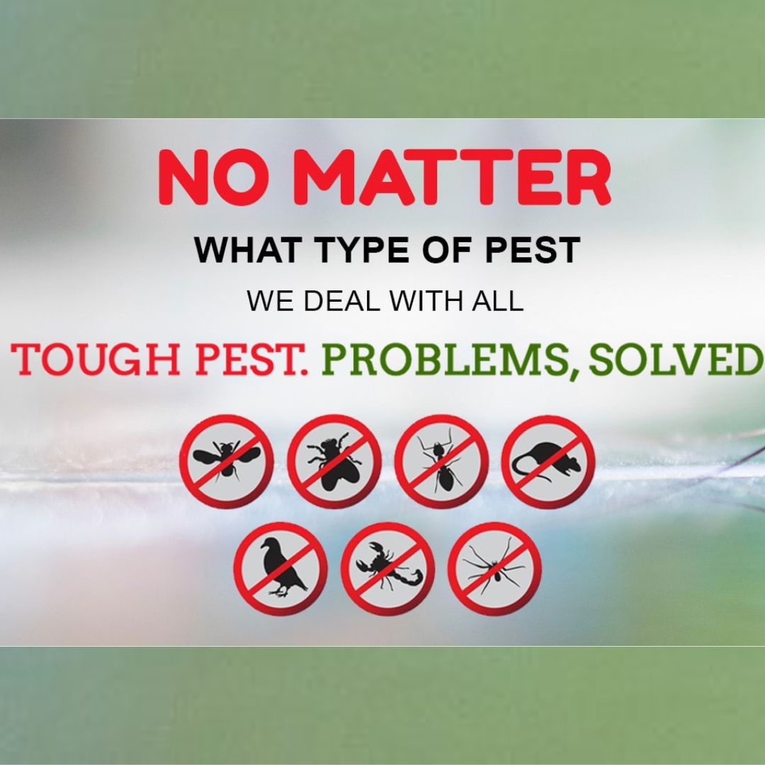 High Secure Pest Control Services