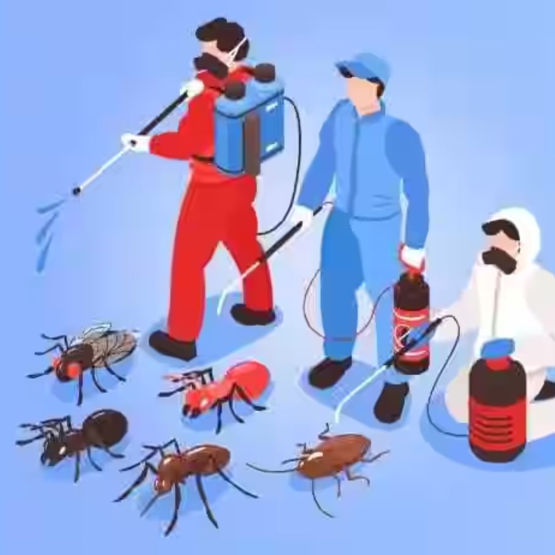 High Secure Pest Control Services