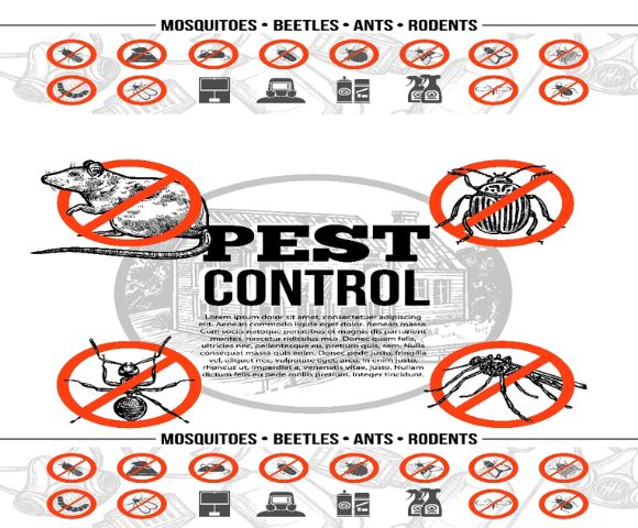 High Secure Pest Control Services