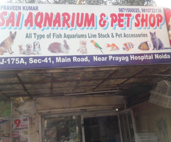 Sai Aquarium & Pet Shop